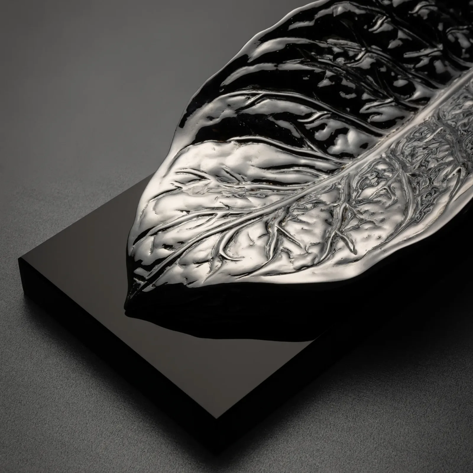 Habano, Silver, photograph 2